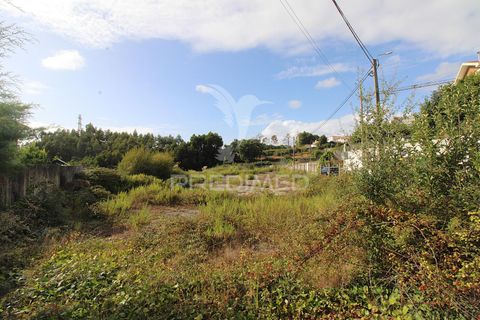 Helårsgrund i Gondomar, Porto, Gondomar - € 1.360.000 | Ref: 054788 - foto 5