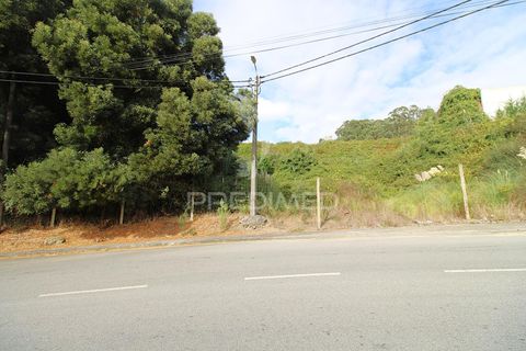 Helårsgrund i Gondomar, Porto, Gondomar - € 1.360.000 | Ref: 054788 - foto 8