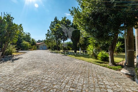 Byhus i Braga, Braga, Braga - € 570.000 | Ref: 054960 - foto 35