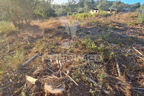 Helårsgrund i Ourem, Santarem, Ourem - € 29.250 | Ref: 054965 - foto 2