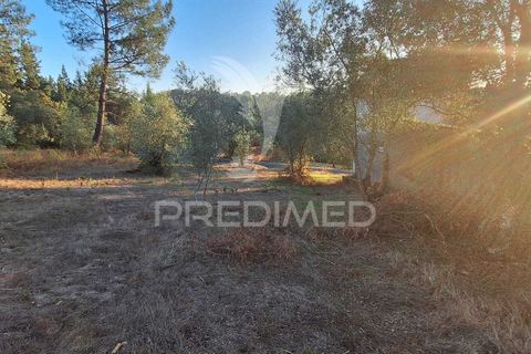 Helårsgrund i Ourem, Santarem, Ourem - € 29.250 | Ref: 054965 - foto 3