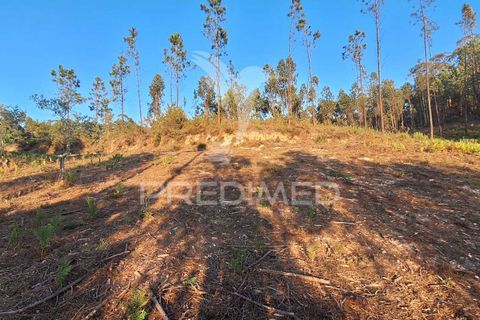 Helårsgrund i Ourem, Santarem, Ourem - € 29.250 | Ref: 054965 - foto 4