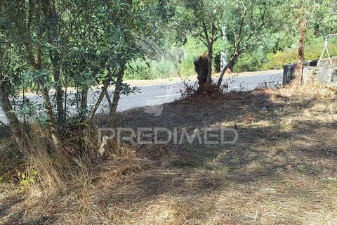 Helårsgrund i Ourem, Santarem, Ourem - € 29.250 | Ref: 054965 - foto 5