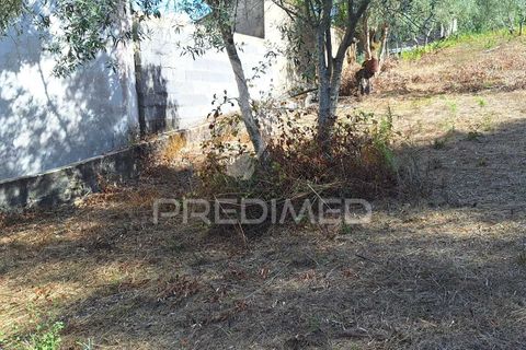 Helårsgrund i Ourem, Santarem, Ourem - € 29.250 | Ref: 054965 - foto 6