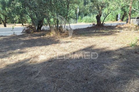 Helårsgrund i Ourem, Santarem, Ourem - € 29.250 | Ref: 054965 - foto 7