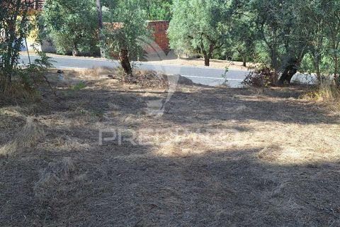 Helårsgrund i Ourem, Santarem, Ourem - € 29.250 | Ref: 054965 - foto 9