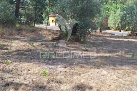 Helårsgrund i Ourem, Santarem, Ourem - € 29.250 | Ref: 054965 - foto 11