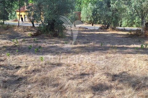 Helårsgrund i Ourem, Santarem, Ourem - € 29.250 | Ref: 054965 - foto 12
