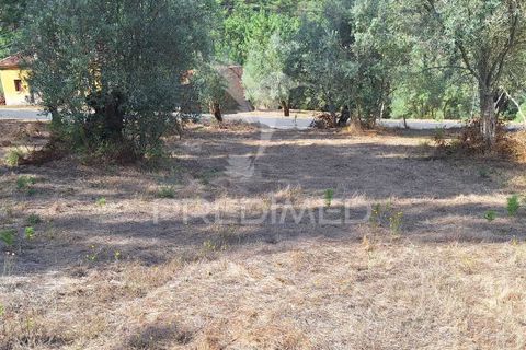Helårsgrund i Ourem, Santarem, Ourem - € 29.250 | Ref: 054965 - foto 14