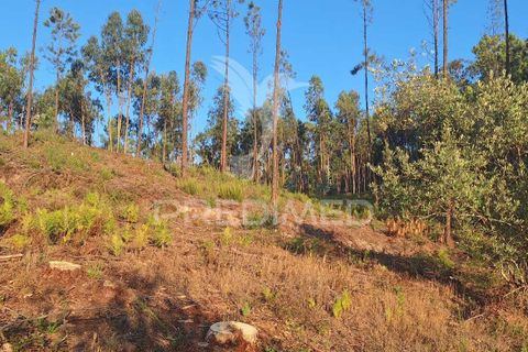 Helårsgrund i Ourem, Santarem, Ourem - € 29.250 | Ref: 054965 - foto 16
