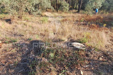 Helårsgrund i Ourem, Santarem, Ourem - € 29.250 | Ref: 054965 - foto 19