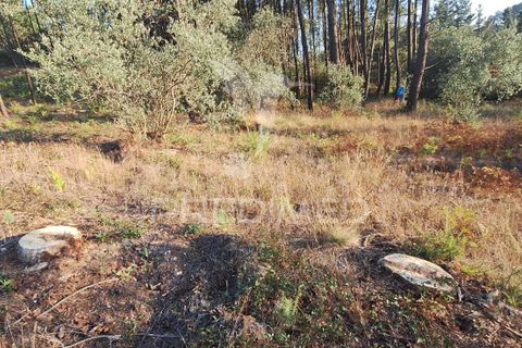 Helårsgrund i Ourem, Santarem, Ourem - € 29.250 | Ref: 054965 - foto 20