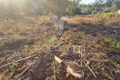 Helårsgrund i Ourem, Santarem, Ourem - € 29.250 | Ref: 054965 - foto 21