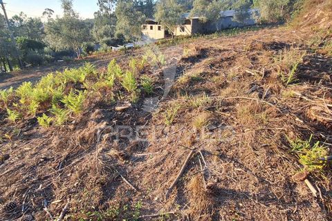 Helårsgrund i Ourem, Santarem, Ourem - € 29.250 | Ref: 054965 - foto 23