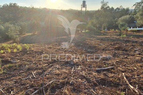 Helårsgrund i Ourem, Santarem, Ourem - € 29.250 | Ref: 054965 - foto 24