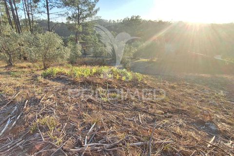 Helårsgrund i Ourem, Santarem, Ourem - € 29.250 | Ref: 054965 - foto 25