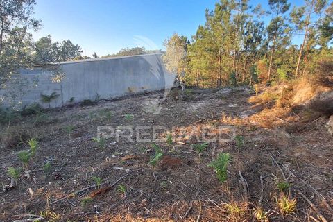 Helårsgrund i Ourem, Santarem, Ourem - € 29.250 | Ref: 054965 - foto 26