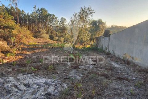 Helårsgrund i Ourem, Santarem, Ourem - € 29.250 | Ref: 054965 - foto 27