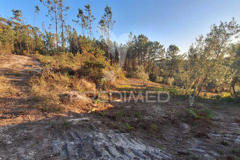 Helårsgrund i Ourem, Santarem, Ourem - € 29.250 | Ref: 054965 - foto 28