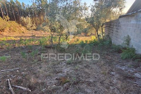 Helårsgrund i Ourem, Santarem, Ourem - € 29.250 | Ref: 054965 - foto 29