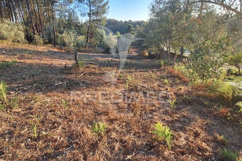 Helårsgrund i Ourem, Santarem, Ourem - € 29.250 | Ref: 054965 - foto 30