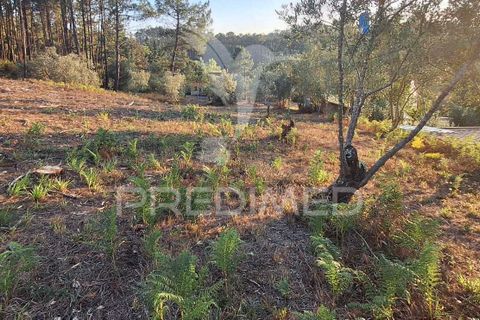 Helårsgrund i Ourem, Santarem, Ourem - € 29.250 | Ref: 054965 - foto 31