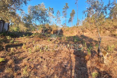 Helårsgrund i Ourem, Santarem, Ourem - € 29.250 | Ref: 054965 - foto 32