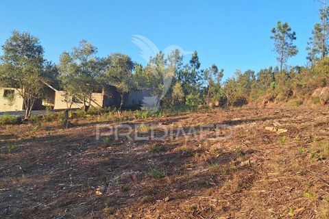 Helårsgrund i Ourem, Santarem, Ourem - € 29.250 | Ref: 054965 - foto 33