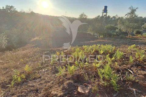 Helårsgrund i Ourem, Santarem, Ourem - € 29.250 | Ref: 054965 - foto 35
