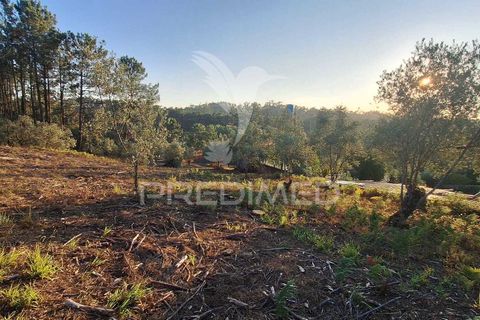 Helårsgrund i Ourem, Santarem, Ourem - € 29.250 | Ref: 054965 - foto 36