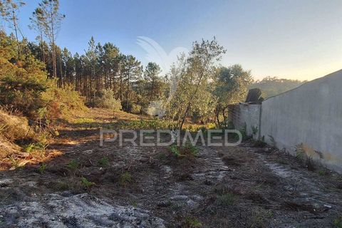 Helårsgrund i Ourem, Santarem, Ourem - € 29.250 | Ref: 054965 - foto 37