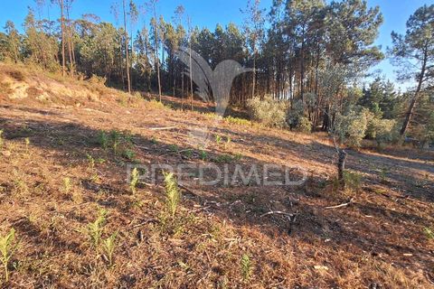 Helårsgrund i Ourem, Santarem, Ourem - € 29.250 | Ref: 054965 - foto 38