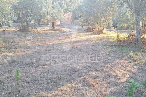 Helårsgrund i Ourem, Santarem, Ourem - € 29.250 | Ref: 054965 - foto 39