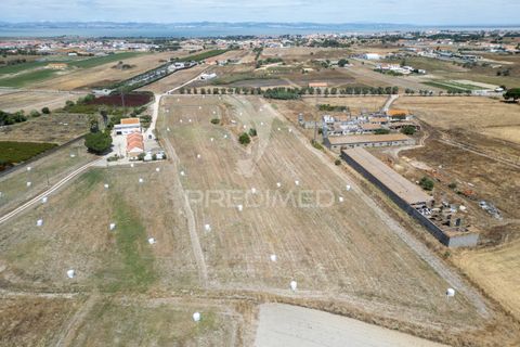 Helårsgrund i Alcochete, Setubal, Alcochete - € 640.000 | Ref: 055011 - foto 2