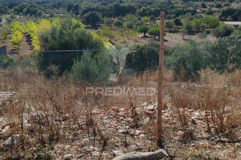 Ruinere i Ourem, Santarem, Ourem - € 70.000 | Ref: 055060 - foto 27