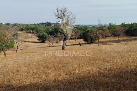 Helårsgrund i Faro, Faro, Faro - € 80.000 | Ref: 055106 - foto 1