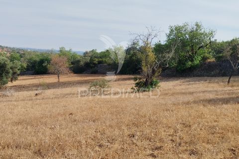 Helårsgrund i Faro, Faro, Faro - € 80.000 | Ref: 055106 - foto 3