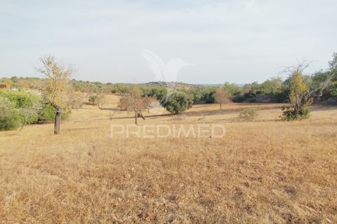 Helårsgrund i Faro, Faro, Faro - € 80.000 | Ref: 055106 - foto 4