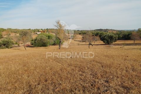 Helårsgrund i Faro, Faro, Faro - € 80.000 | Ref: 055106 - foto 5
