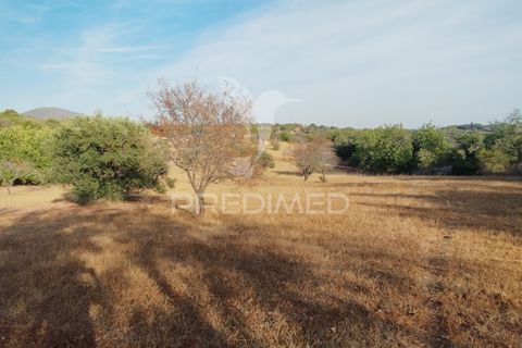 Helårsgrund i Faro, Faro, Faro - € 80.000 | Ref: 055106 - foto 6