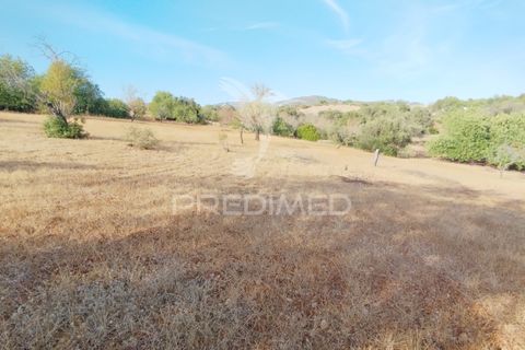Helårsgrund i Faro, Faro, Faro - € 80.000 | Ref: 055106 - foto 7