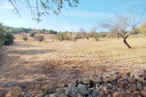 Helårsgrund i Faro, Faro, Faro - € 80.000 | Ref: 055106 - foto 8