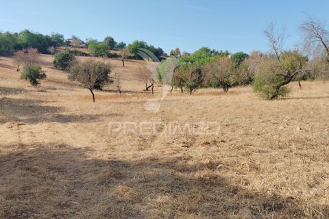Helårsgrund i Faro, Faro, Faro - € 80.000 | Ref: 055106 - foto 9