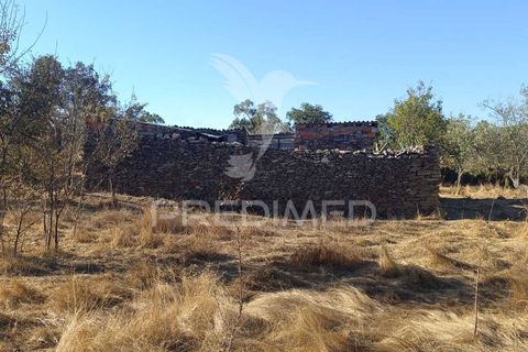 Terra a Nisa, Portalegre, Nisa - € 20.000 | Ref: 055396 - foto 8