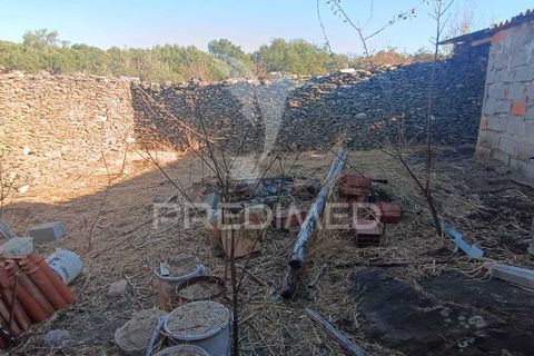 Terra a Nisa, Portalegre, Nisa - € 20.000 | Ref: 055396 - foto 9