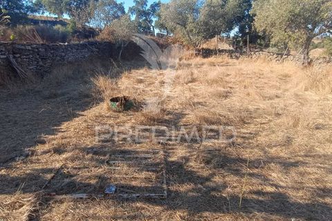 Terra a Nisa, Portalegre, Nisa - € 20.000 | Ref: 055396 - foto 12