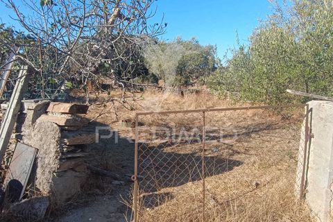 Terra a Nisa, Portalegre, Nisa - € 20.000 | Ref: 055396 - foto 14
