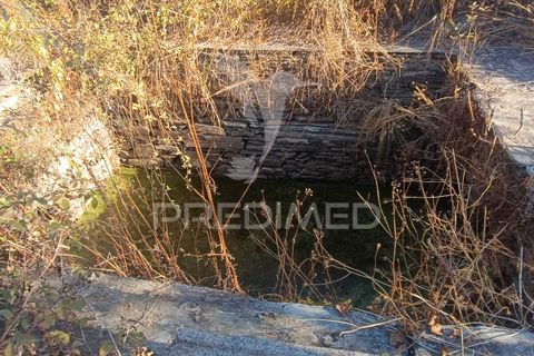 Terra a Nisa, Portalegre, Nisa - € 20.000 | Ref: 055396 - foto 15