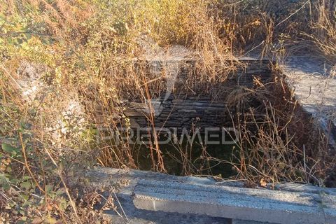Terra a Nisa, Portalegre, Nisa - € 20.000 | Ref: 055396 - foto 16