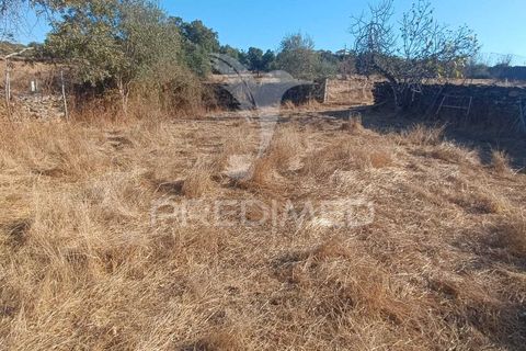 Terra a Nisa, Portalegre, Nisa - € 20.000 | Ref: 055396 - foto 17